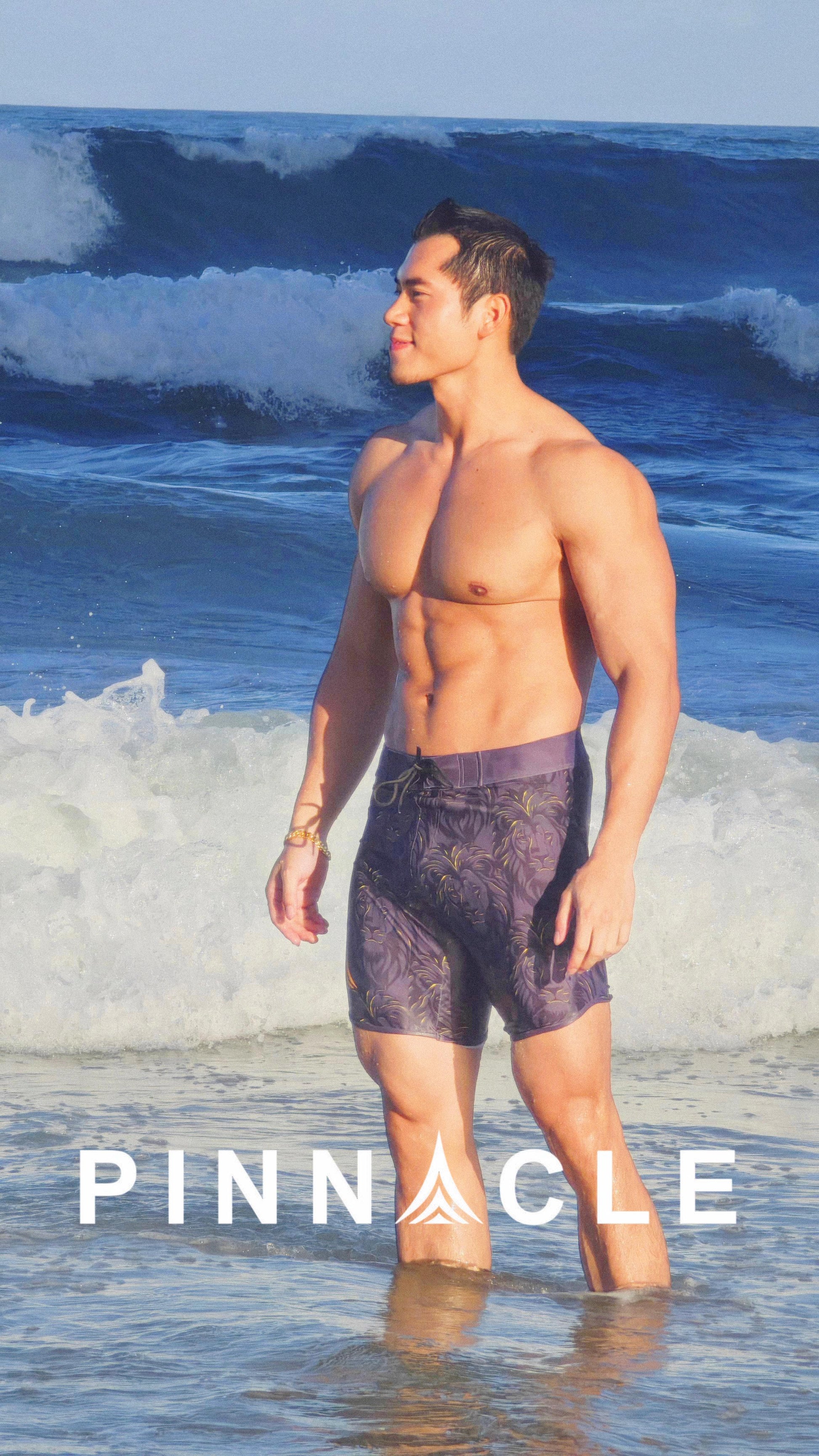 Lion Heart (Golden Black)